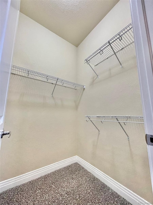 walk in closet featuring carpet