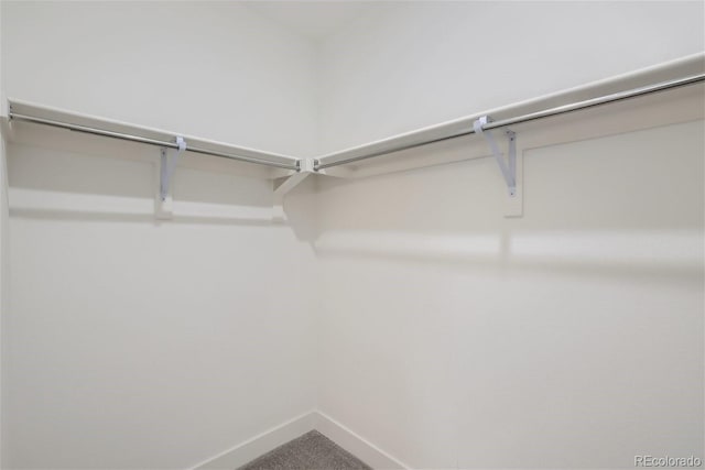 3500 S Corona St Unit 407, Englewood, CO 80113 - spacious closet with carpet