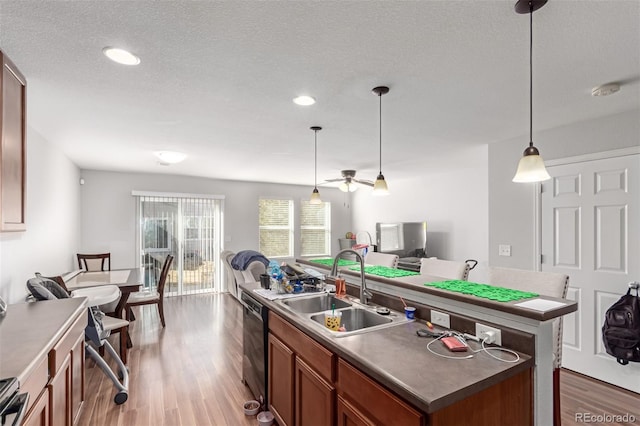 kitchen with a kitchen island with sink, open floor plan, wood finished floors, and a sink