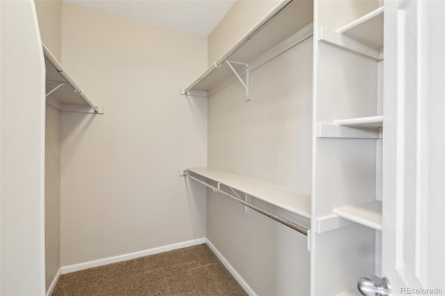 walk in closet featuring carpet