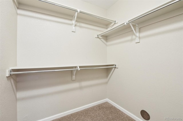 spacious closet with carpet floors