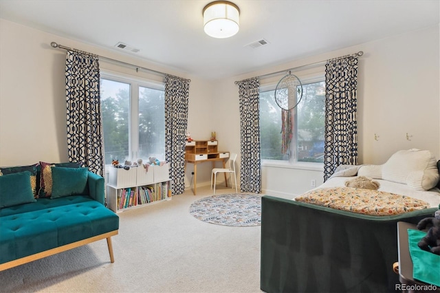 600 Vine St, Denver, CO 80206 - view of carpeted bedroom