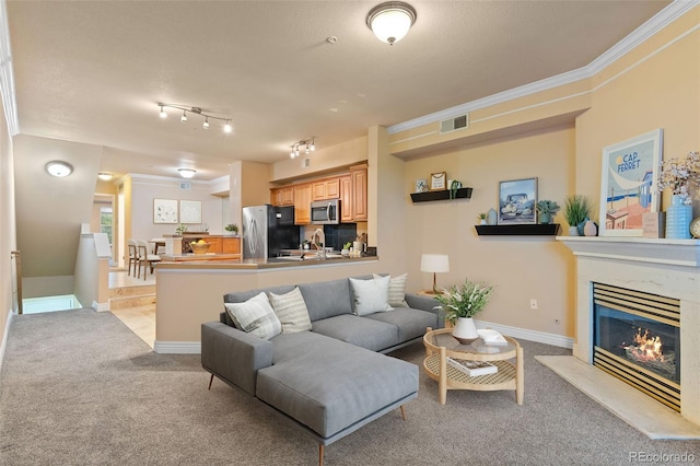 2154 Concord Ln, Superior, CO 80027 - living area featuring light carpet, crown molding, a fireplace, and baseboards