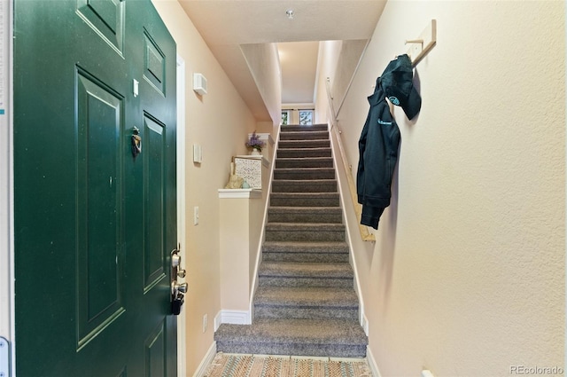 2154 Concord Ln, Superior, CO 80027 - stairs featuring baseboards and carpet flooring