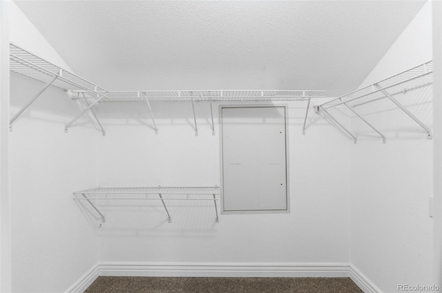 2154 Concord Ln, Superior, CO 80027 - spacious closet with carpet