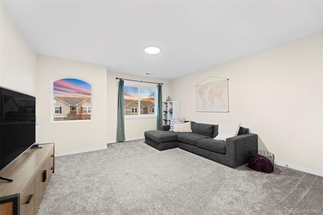 living area featuring baseboards and carpet floors