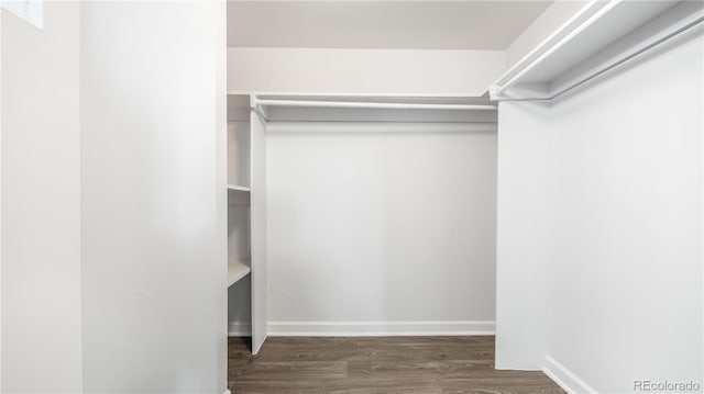 walk in closet featuring wood finished floors