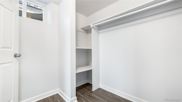 spacious closet featuring dark wood-type flooring