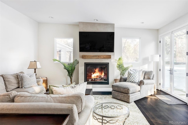 living room featuring hardwood / wood-style floors