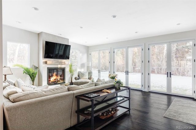 living room with dark hardwood / wood-style flooring and french doors