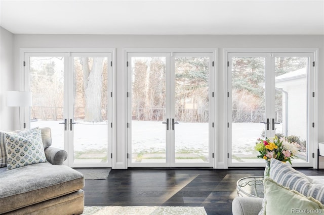 entryway featuring french doors, plenty of natural light, and dark hardwood / wood-style flooring