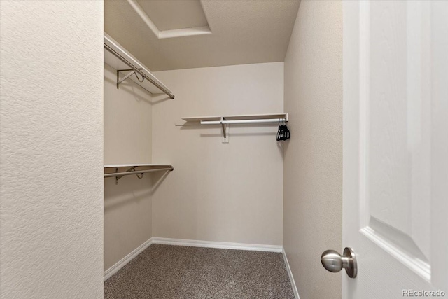 walk in closet with carpet and attic access