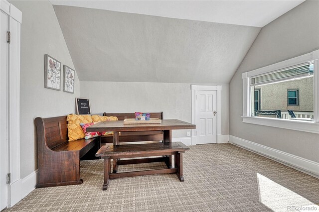 6 Boulder Crescent St, Colorado Springs, CO 80903 - photo 39