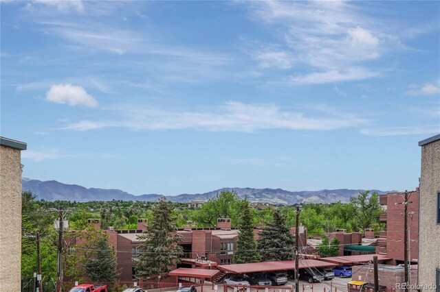 6 Boulder Crescent St, Colorado Springs, CO 80903 - photo 50