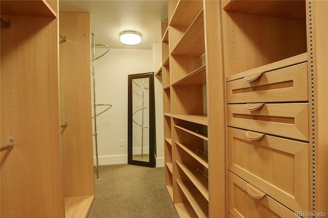 walk in closet featuring carpet