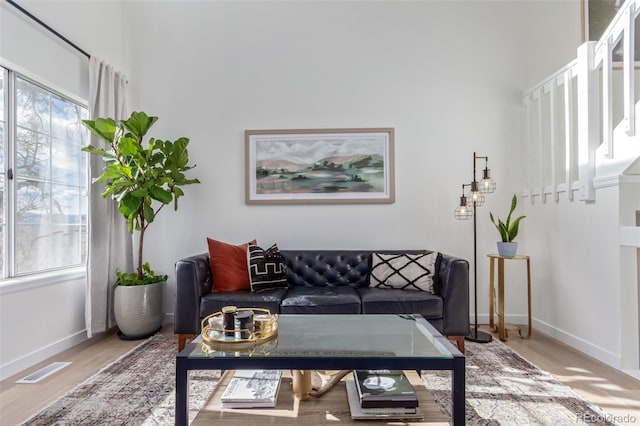 living room with wood-type flooring