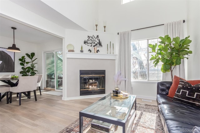 living room featuring light hardwood / wood-style floors and plenty of natural light