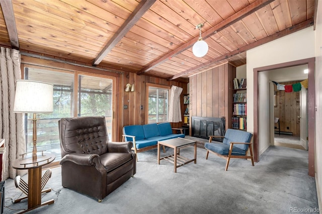 7105 Flagstaff Rd, Boulder, CO 80302 - photo 7