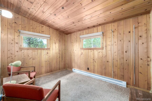 7105 Flagstaff Rd, Boulder, CO 80302 - photo 14