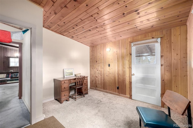 7105 Flagstaff Rd, Boulder, CO 80302 - photo 16