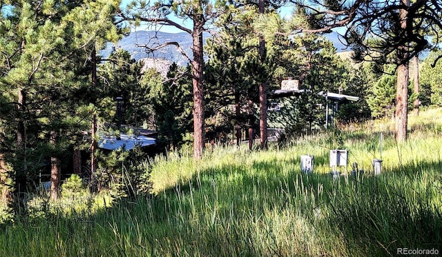 7105 Flagstaff Rd, Boulder, CO 80302 - photo 33