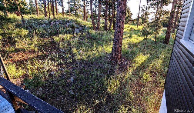 7105 Flagstaff Rd, Boulder, CO 80302 - photo 34