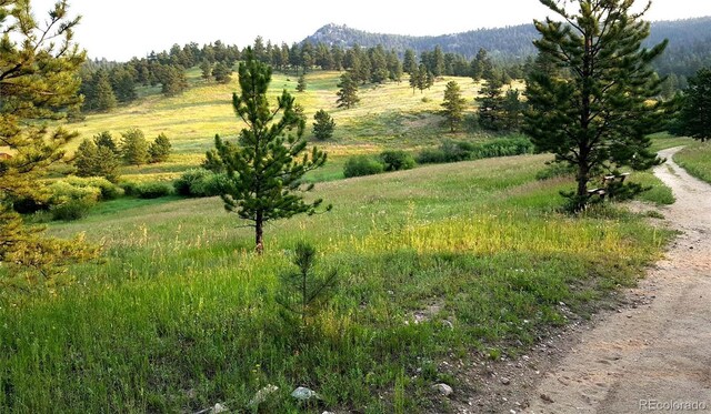 7105 Flagstaff Rd, Boulder, CO 80302 - photo 38