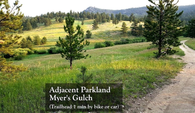 7105 Flagstaff Rd, Boulder, CO 80302 - photo 41