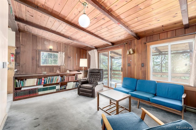 7105 Flagstaff Rd, Boulder, CO 80302 - photo 8
