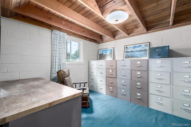 7105 Flagstaff Rd, Boulder, CO 80302 - photo 18