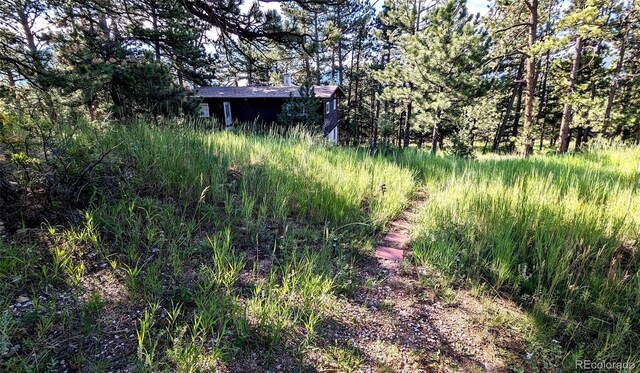 7105 Flagstaff Rd, Boulder, CO 80302 - photo 27