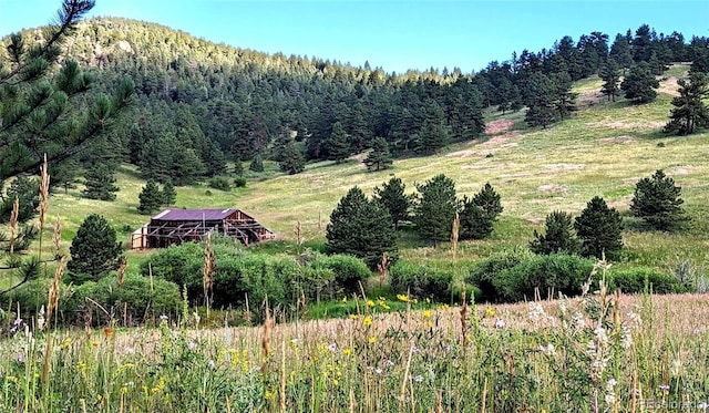 7105 Flagstaff Rd, Boulder, CO 80302 - photo 37