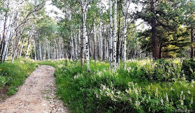 7105 Flagstaff Rd, Boulder, CO 80302 - photo 39