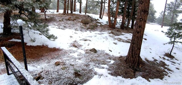 7105 Flagstaff Rd, Boulder, CO 80302 - photo 44