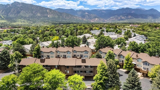 3021 Capstan Way, Colorado Springs, CO 80906 - photo 3
