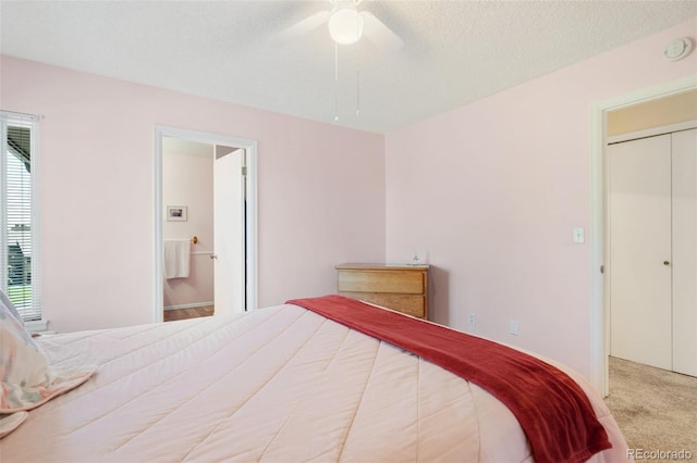 3021 Capstan Way, Colorado Springs, CO 80906 - photo 22