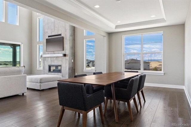 dining area featuring a tray ceiling, dark wood finished floors, a large fireplace, and a wealth of natural light
