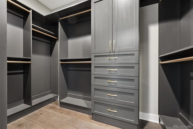 spacious closet featuring wood finished floors