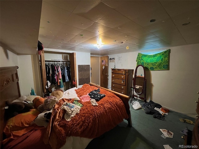 841 S 6th Ave, Brighton, CO 80601 - bedroom with carpet flooring and a closet
