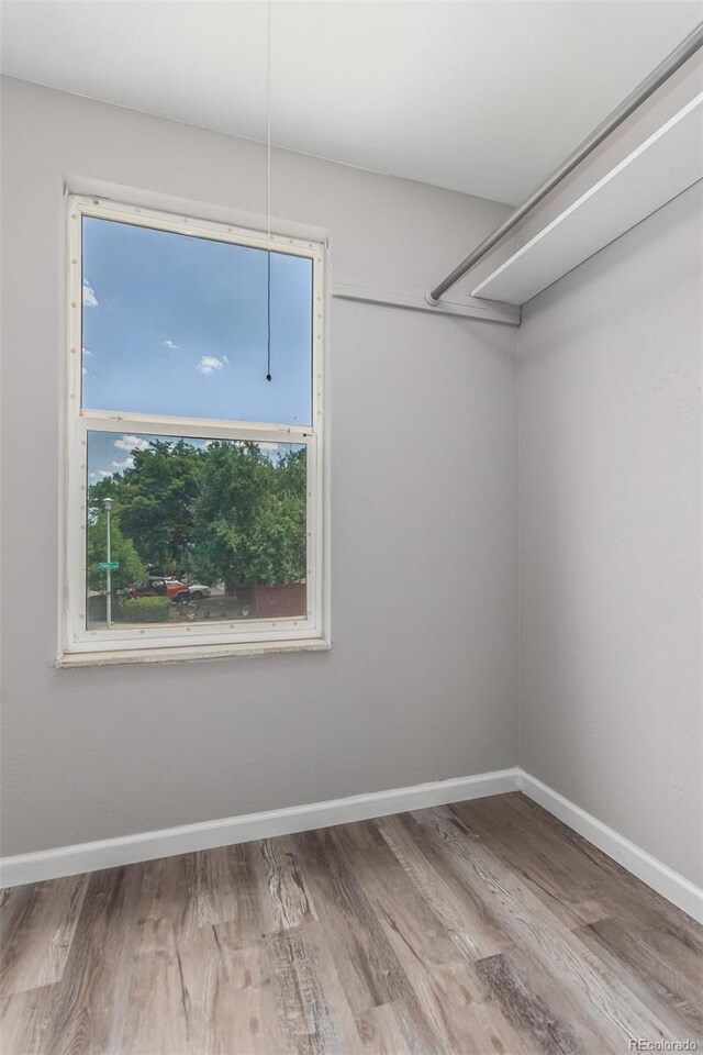 walk in closet featuring wood-type flooring