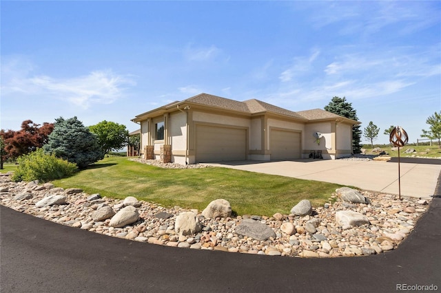 3358 Castle Butte Dr, Castle Rock, CO 80109 - photo 6