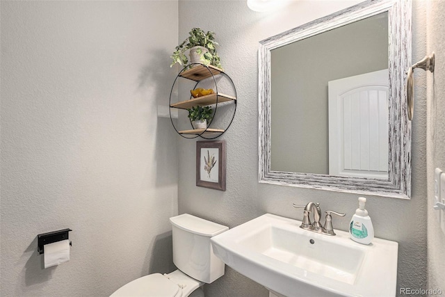 1473 Castle Creek Cir, Castle Rock, CO 80104 - bathroom with a sink and a textured wall