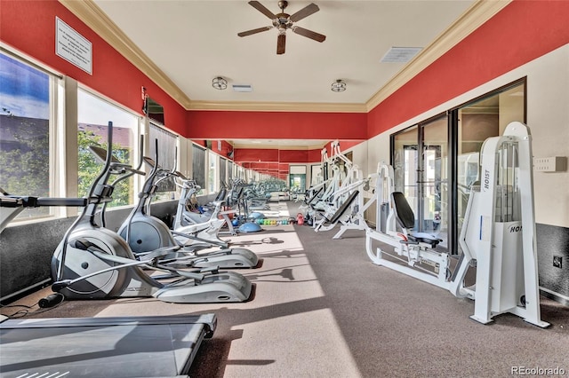 4569 Copeland Loop Unit 203, Highlands Ranch, CO 80126 - workout area featuring ceiling fan, crown molding, and healthy amount of natural light