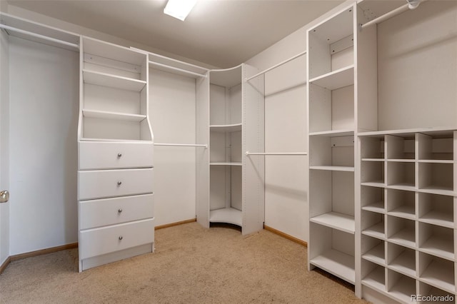 5571 S Sicily St, Aurora, CO 80015 - walk in closet featuring carpet