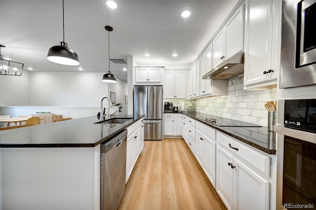 5771 Slate River Pl, Brighton, CO 80601 - kitchen featuring stainless steel appliances, a sink, under cabinet range hood, decorative backsplash, and light wood-type flooring