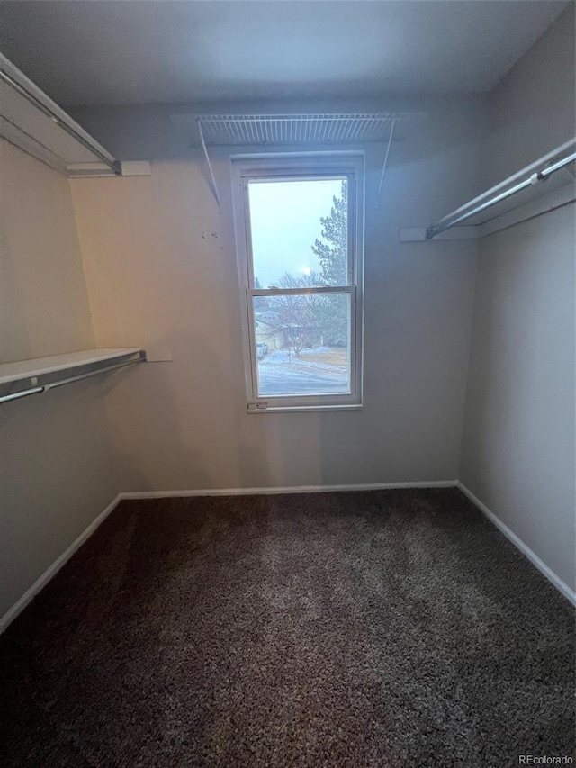 spacious closet with carpet