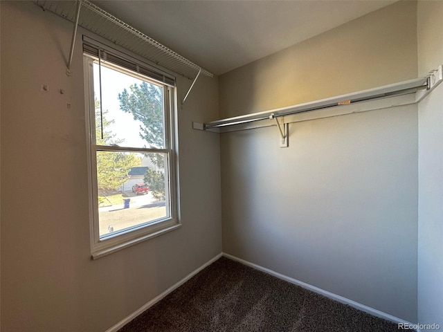 walk in closet featuring carpet floors