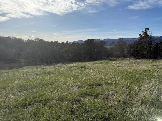 14495 N Scott Loop, Collbran, CO 81624