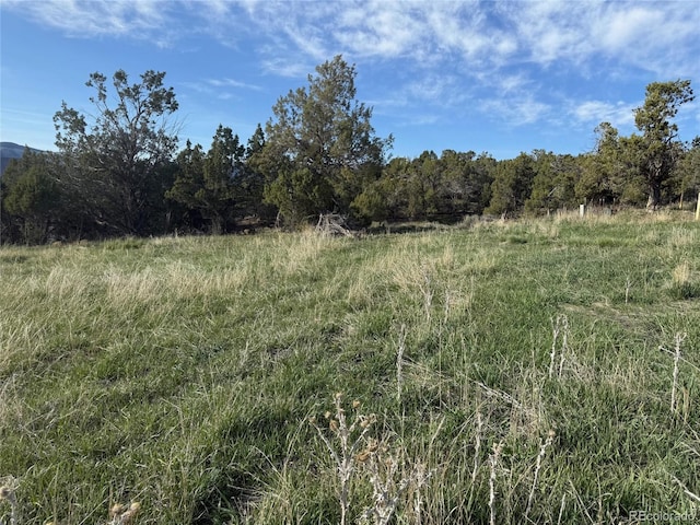 14495 N Scott Loop, Collbran, CO 81624