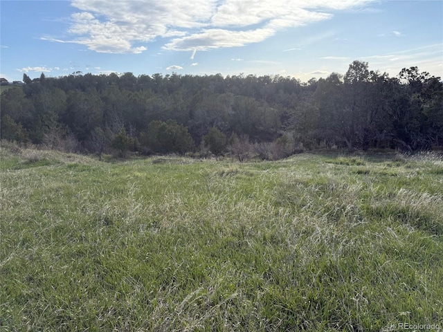 14495 N Scott Loop, Collbran, CO 81624